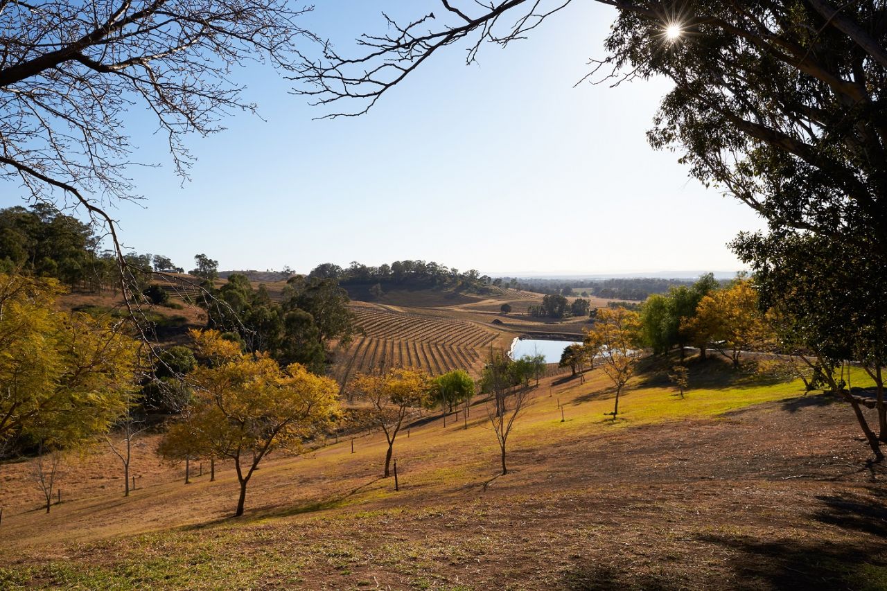 Newcastle Airport with a view 10 Instaworthy cellar