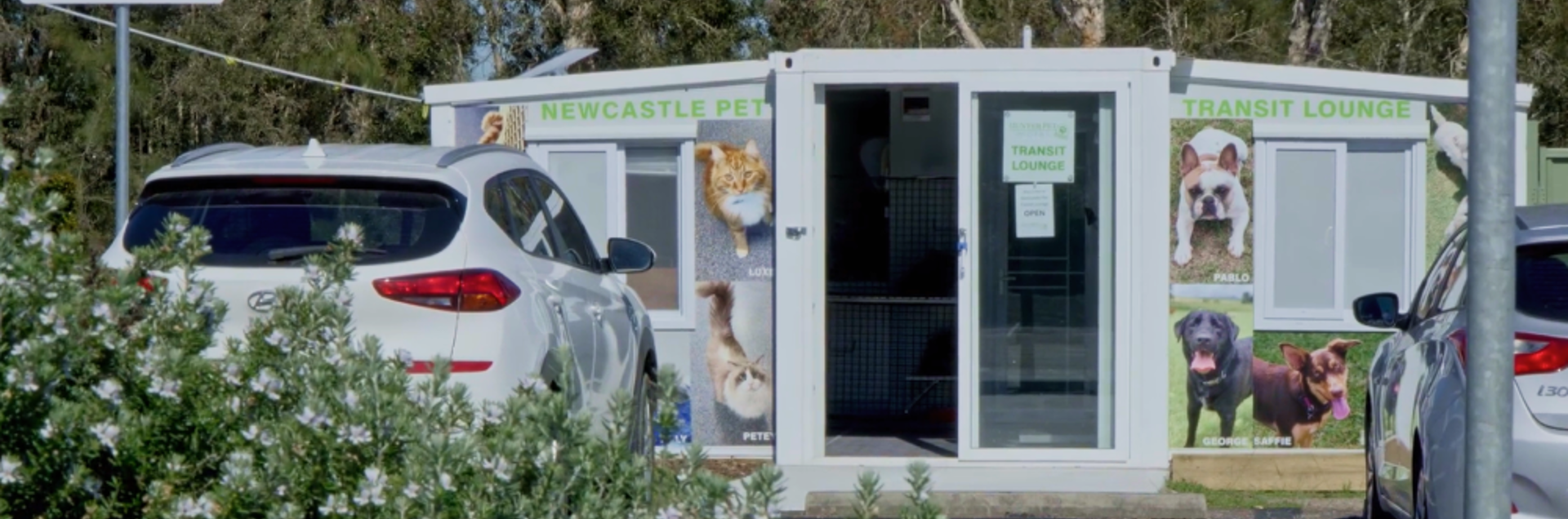 Hunter Pet Motel Transit Lounge