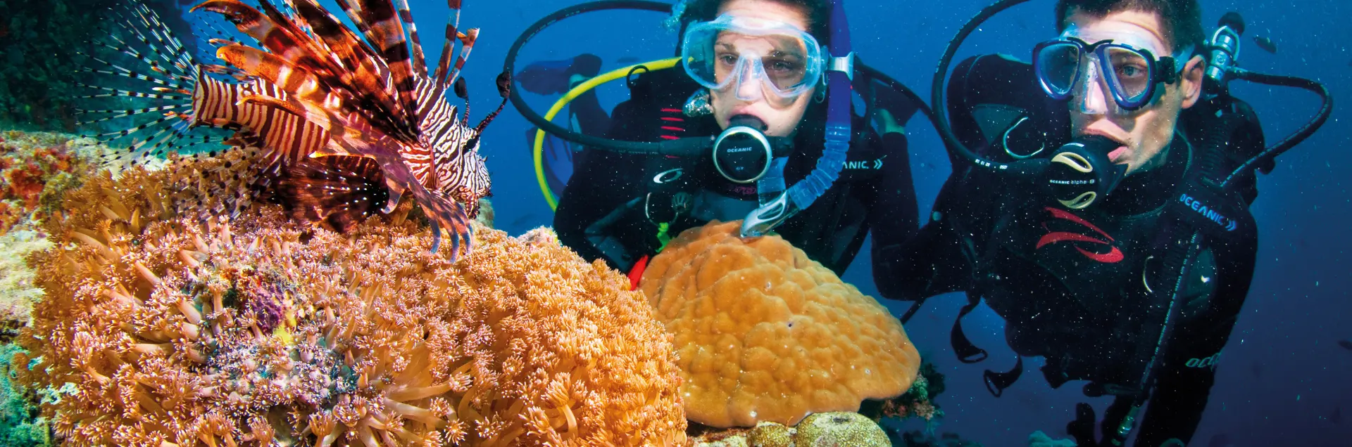 Divers with Lionfish in Great Barrier Reef